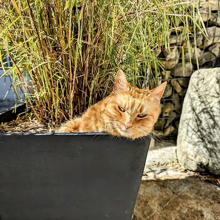 D'hôtes Le St Maurice Truinas